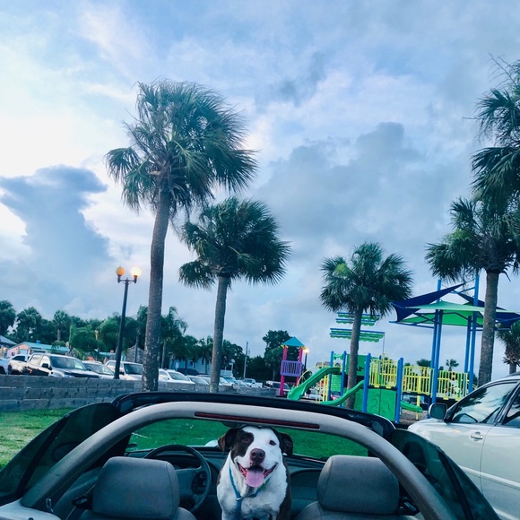 Meet your Posher, TJ - Picture 7 of 8